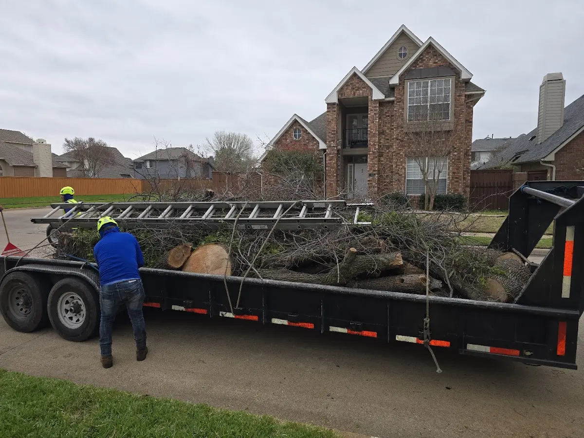 Expert Tree Pest Control with proper safety equipment in North Webster